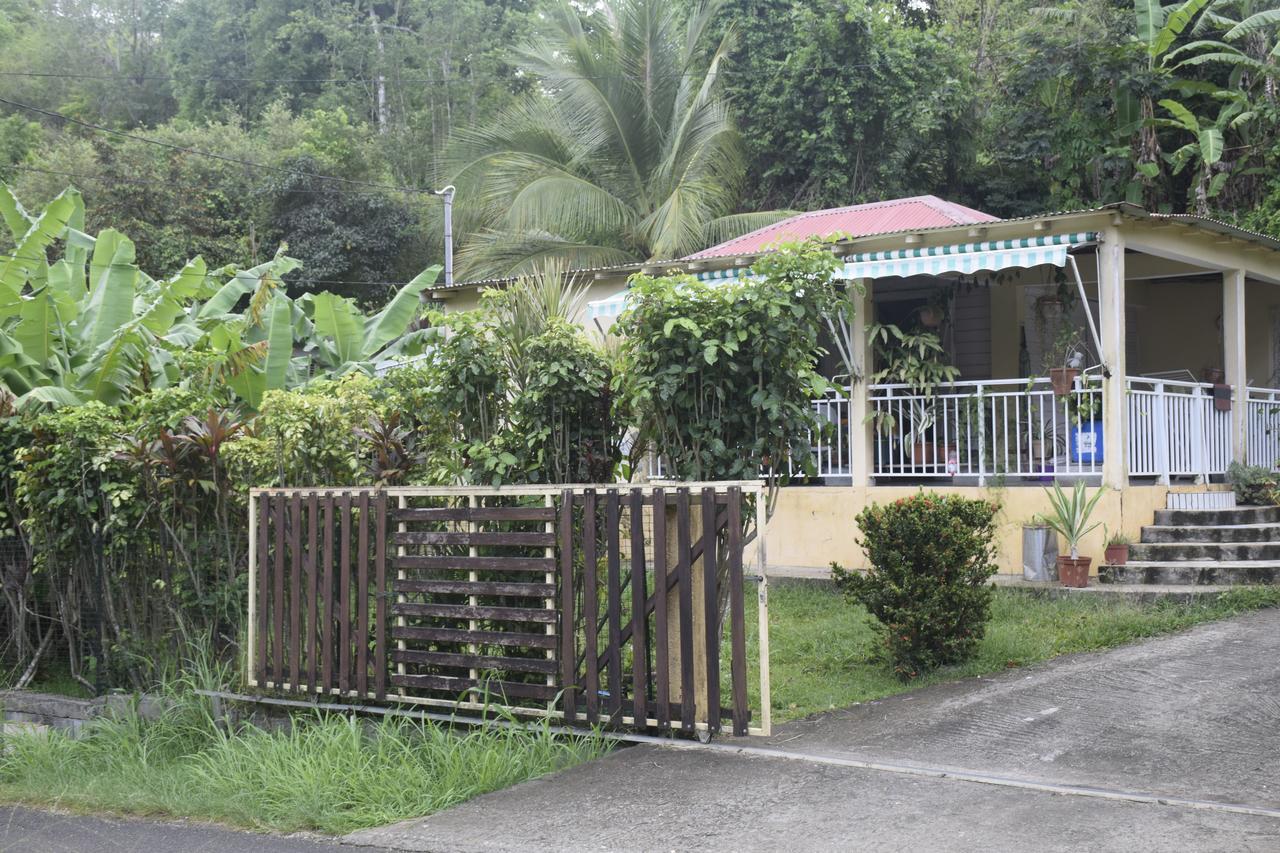 Passion House Apartment Le Gosier  Exterior photo